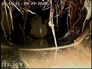 Image of roots breaking a sewer line during a scope inspection