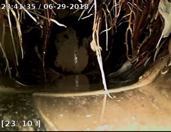 Image of roots breaking a sewer line during a scope inspection to help illustrate how long does a home inspection take